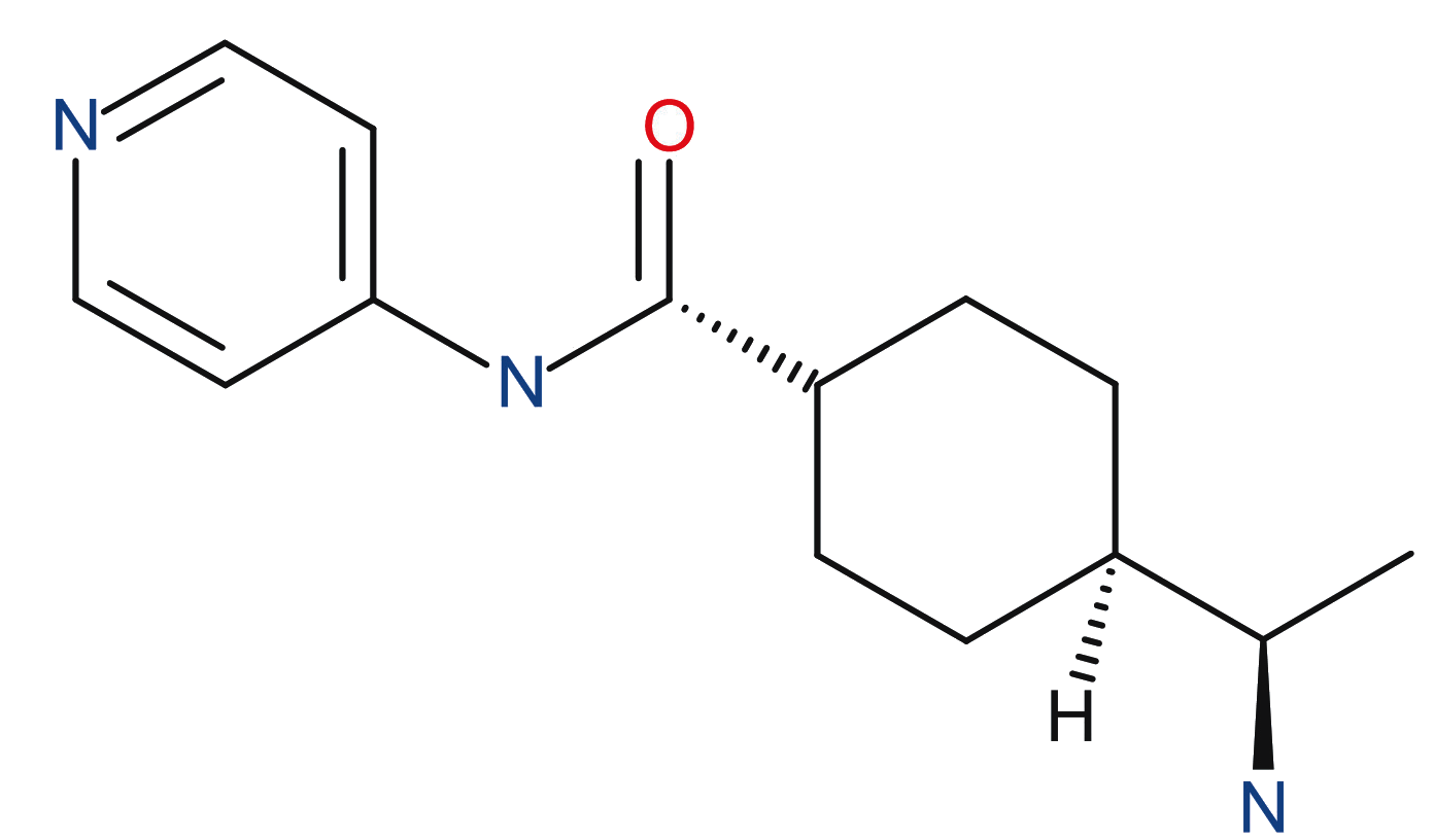 Y-27632, ROCK inhibitor