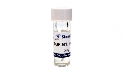 TGF-β1, human recombinant